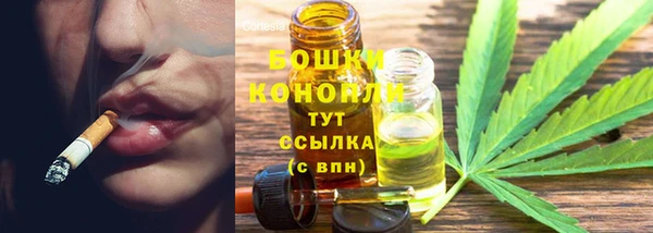 гашик Карпинск