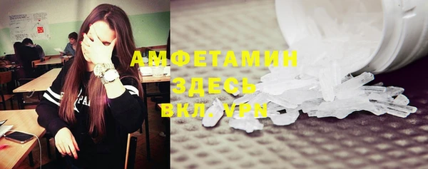гашик Карпинск