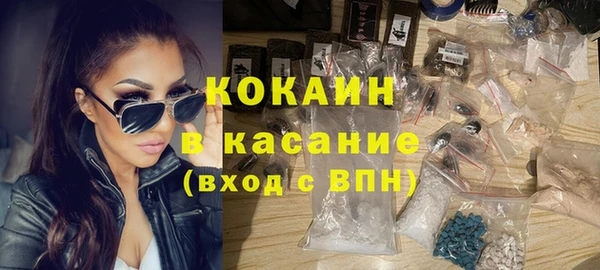 гашик Карпинск