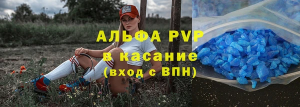 гашик Карпинск