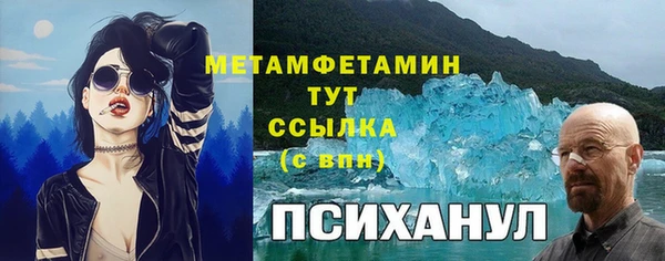 гашик Карпинск