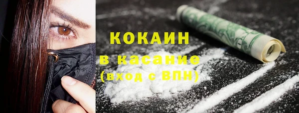 гашик Карпинск