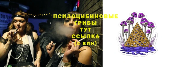 гашик Карпинск