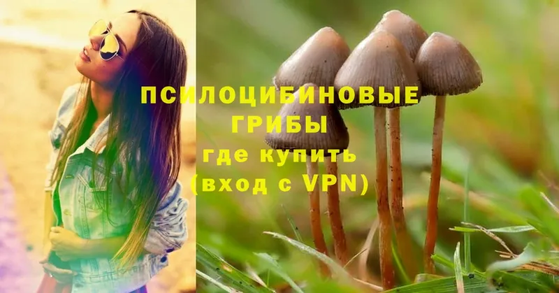 Галлюциногенные грибы Psilocybine cubensis  mega ссылка  Орёл 