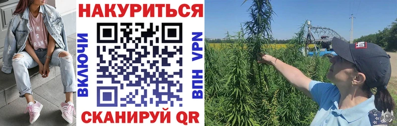 что такое Орёл Марихуана LSD WEED